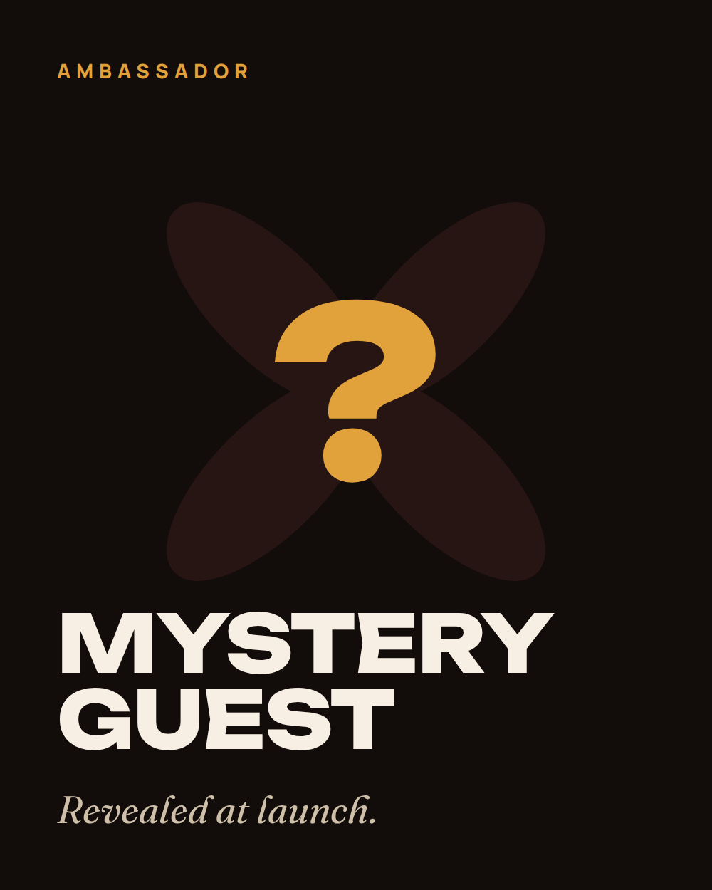 Mystery ambassador, revealed at launch